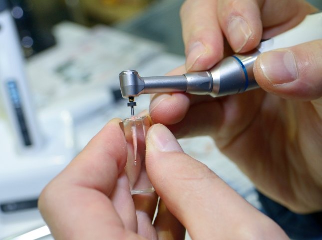 Dentist holding a model of a root canal